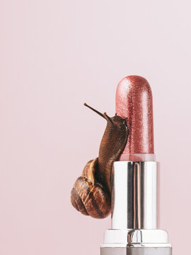 Snail on Lipstick: Beauty and Nature