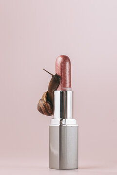 Snail on Lipstick: Beauty and Nature
