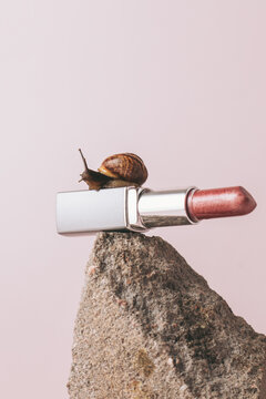 Snail on Lipstick: Beauty and Nature