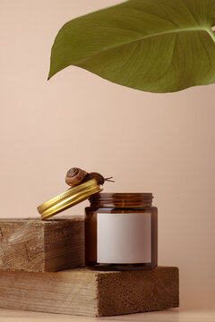 a mock-up of a jar with candles and a snail