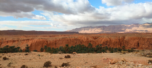 Panoramic view of a palm oasis in the middle of desert. Biskra. Algeria