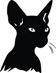 Peterbald Cat portrait