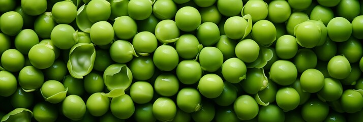 Green peas background, banner, texture. Top view of fresh green peas