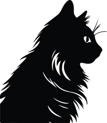 Fototapeta premium Ragamuffin Cat portrait