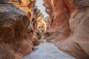 Scenic Willis Creek Slot Canyon in the Grand Staircase Escalante National Monument Utah