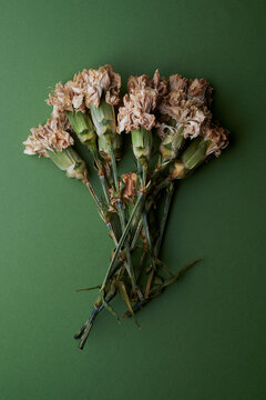 bouquet dry carnations
