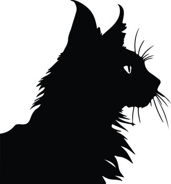 Lykoi Werewolf Cat Cat portrait