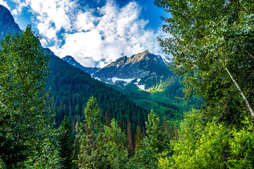 Fototapety na wymiar - Fototapeta24.pl