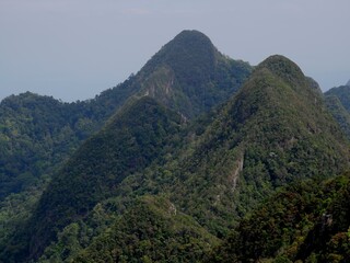 Lush rain forest of Gunung Machinchan at Langawi Malaysia