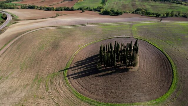 Italy landscape. Amazing Tuscany scenery. Typical countryside with vast fields of Val d'Orcia famous beautiful valley. Aerial drone 4k hd video of circle cypresses trees, high angle view