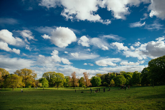 scenic park in New York on a sunny summer day