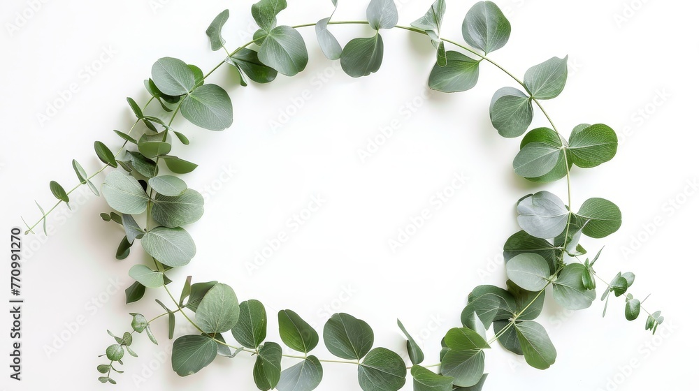 Poster the wreath frame is made of branches of eucalyptus isolated on a white background. lay flat, top vie