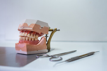 a denture model on a laboratory table with some working utensils. It is the upper and lower jaw. © LaMorenita