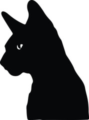 Donskoy Don Sphynx Cat portrait