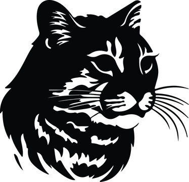 "Fishing Cat" Images – Browse 1,349 Stock Photos, Vectors, and Video