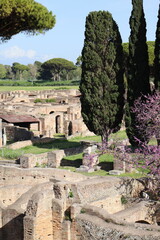 Ruins in Ostia Antica in Rome, Italy - 770996439