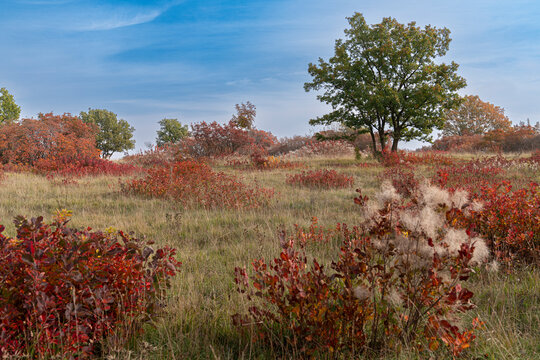 I colori del Carso
