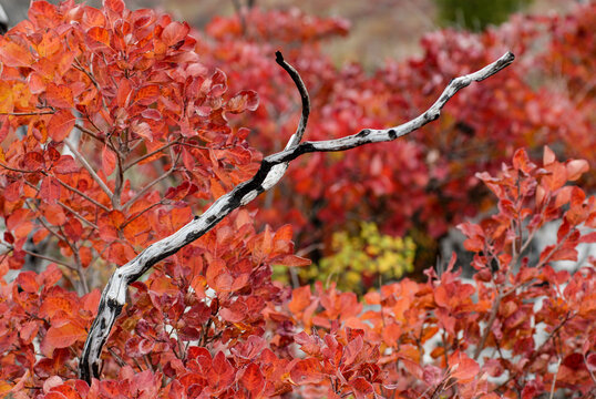 I colori del Carso