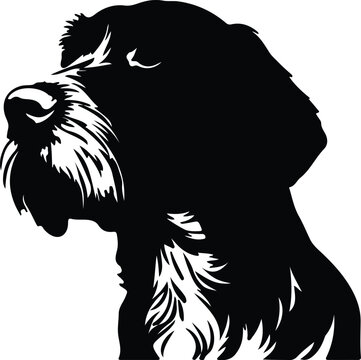 German Wirehaired Pointer portrait