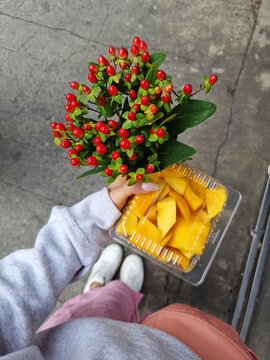 sliced Mango in a plastic box