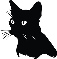 Colorpoint Shorthair Cat portrait