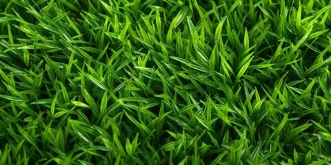Fototapeta na wymiar Close-up image of fresh spring green grass. Green grass background, texture, top view