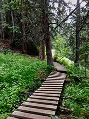 The green wooden path