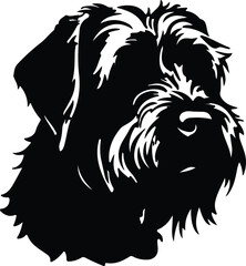 Black Russian Terrier portrait