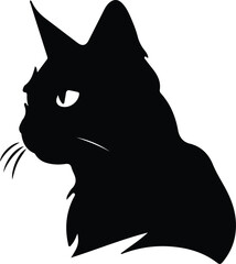 Bombay Cat portrait
