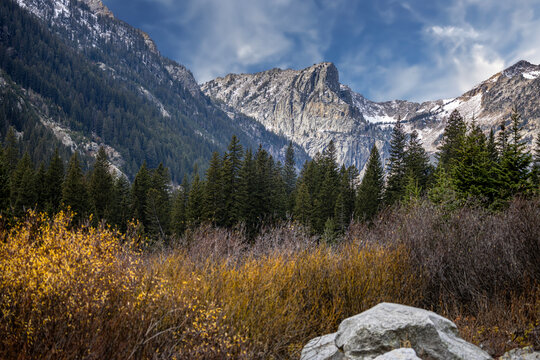Autumn in Grand Teton National Park Wyoming