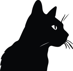 Brazilian Shorthair Cat portrait