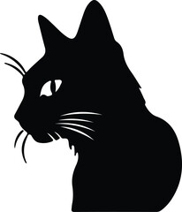 Brazilian Shorthair Cat portrait