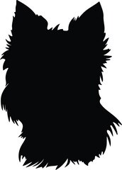 Cairn Terrier portrait