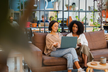 Coworkers Working On Laptop In Modern Workspace