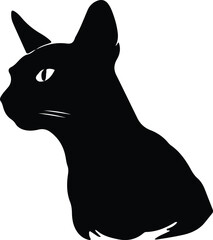 Abyssinian Cat portrait