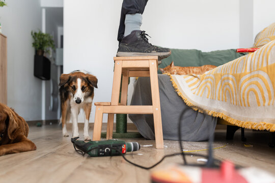 A man's feet on a ladder while doing home repairs.