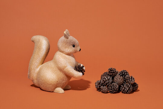 squirrel saves some pine cones