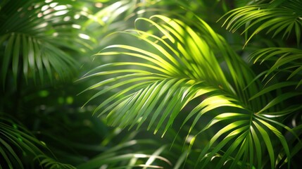 Exotic Palm Leaves in Tropical Paradise