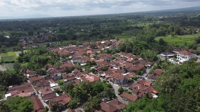 A small village surrounded by rice fields top view