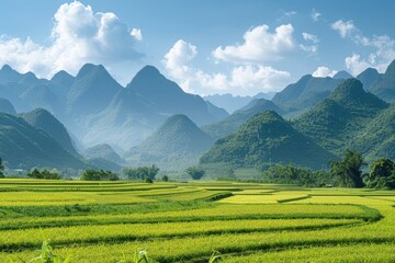Fototapeta premium Tranquil Scene: Mountains Overlooking Rice Fields Generative AI