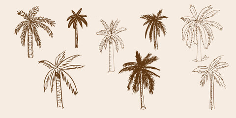 Set of palm, sketch, doodle style hand drawn