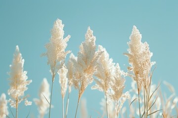 Fototapeta premium Ethereal White Reeds against a Blue Sky: High Definition and Clean Design Generative AI