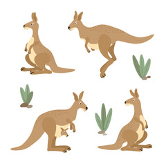 Cute kangaroo set. Australian animal character collection. Vector illustration of kangaroos in different poses