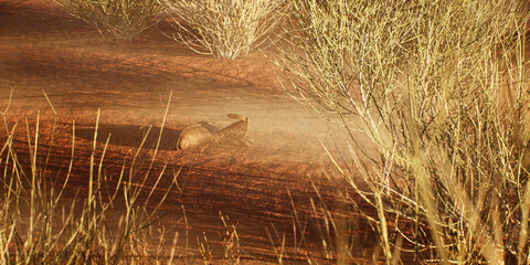 Lost cowboy boot in misty desolate desert landscape. - 771025852