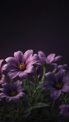 purple flower on black background