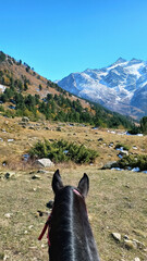 A POV shot from a horse trekking through a mountain valley. Black Horse. Vertical photo.	
