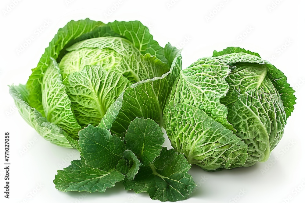 Poster isolated cabbage on pure white background generative ai