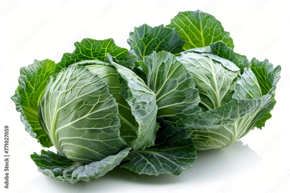 Poster Isolated Cabbage on Pure White Background Generative AI