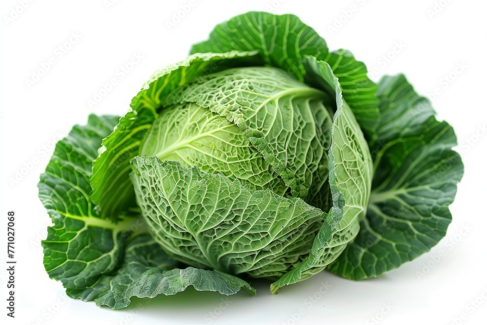 Poster Isolated Cabbage on Pure White Background Generative AI