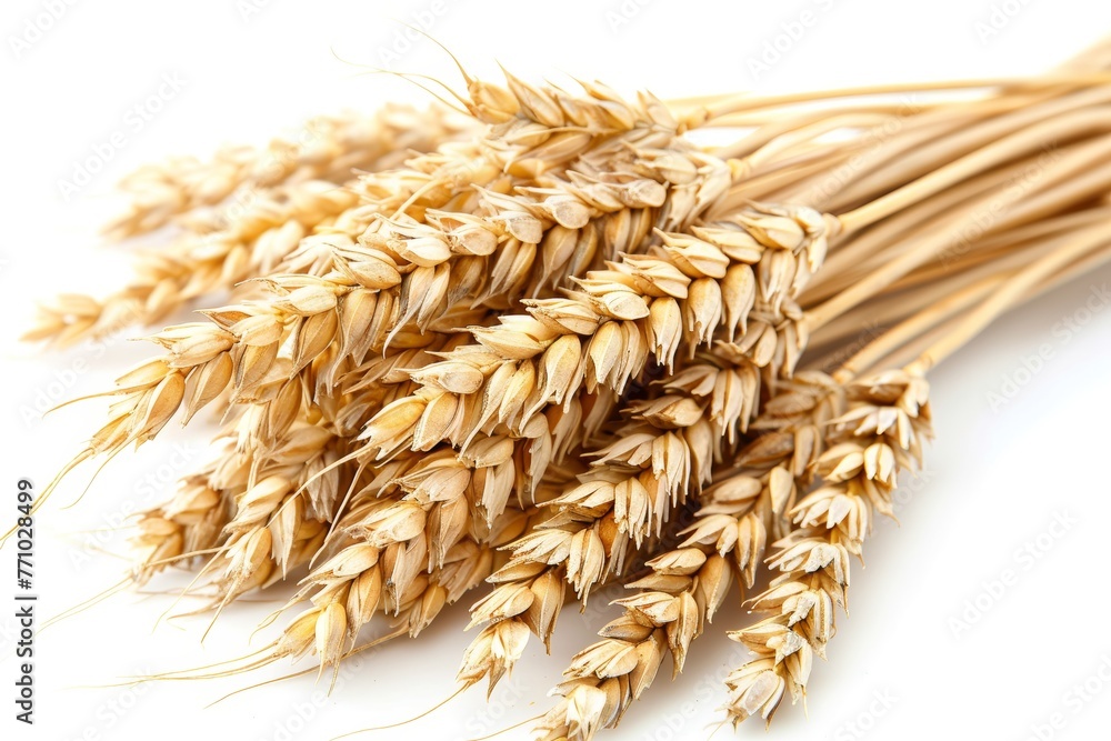 Poster dry yellow wheat ears in isolation generative ai